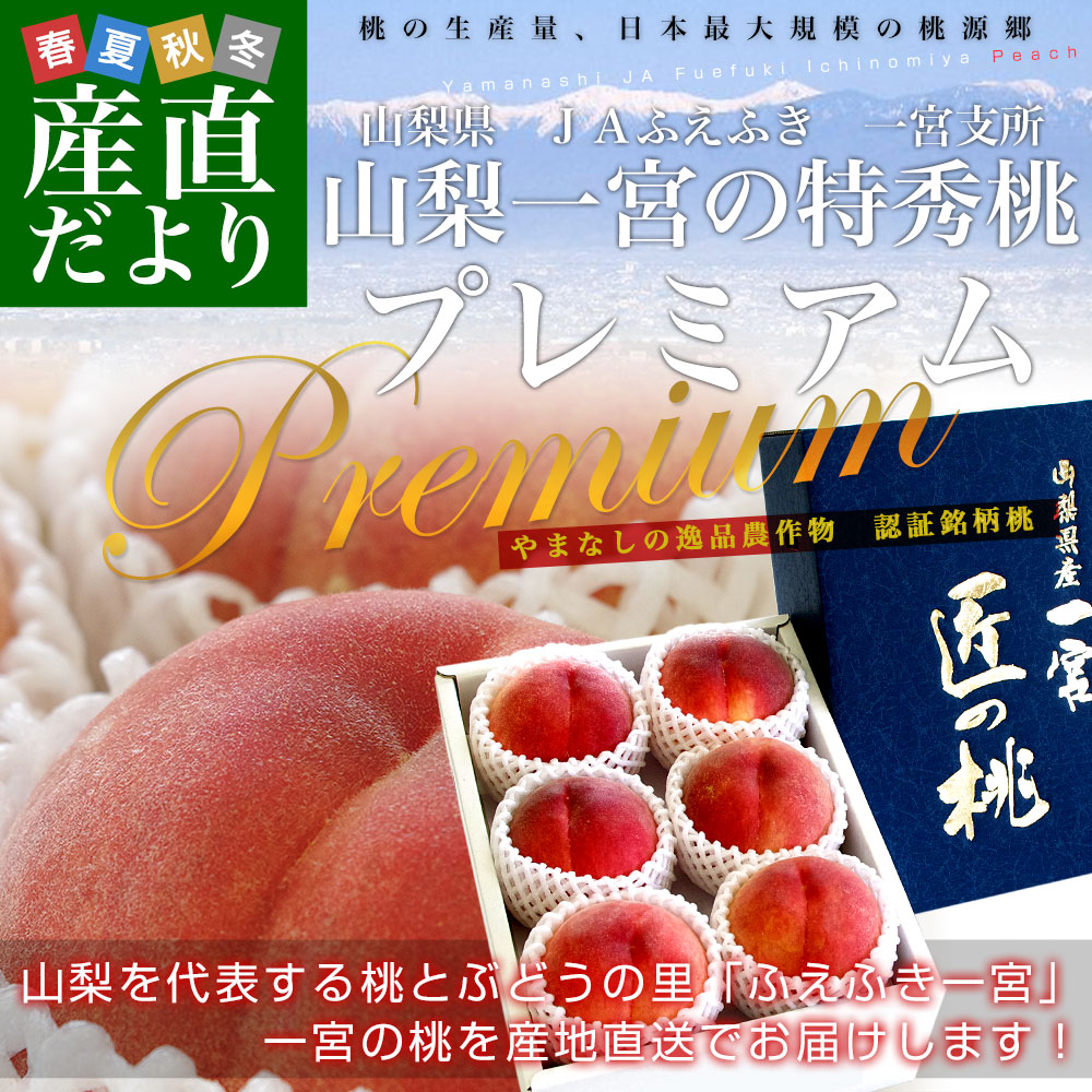 山梨県より産地直送 JAふえふき 一宮支所 一宮の特秀桃 プレミアム 2