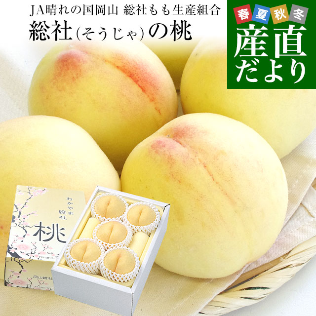 岡山県産地直送 JA晴れの国岡山 総社もも生産組合 総社(そうじゃ)の桃 青秀以上 約1.5キロ (4玉から6玉) 送料無料 ギフト 夏ギフト お中元 御中元 | 