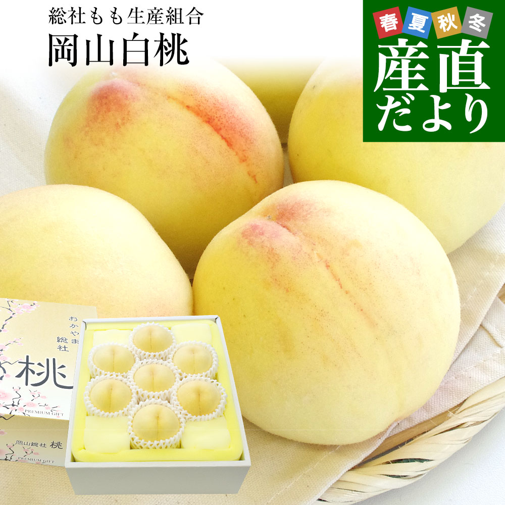 長野県産 高糖度桃 約1.8キロ（5玉から6玉）※JAながの（エクセレント