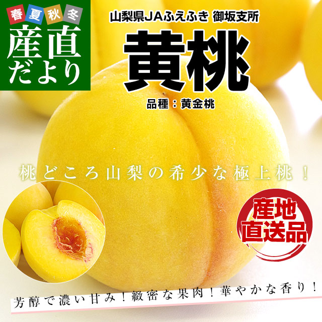 【石垣島産】 月桃の実・乾燥 １キロ ゆうパック発送 石垣島産 月桃の種 100g / 農薬・化学肥料不使用／2025年採取