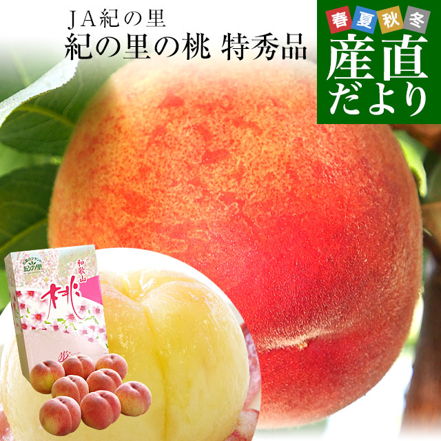 和歌山県より産地直送 JA紀の里 紀の里の桃 特秀品 1.8キロ (6玉から8玉) 送料無料 桃 もも | 