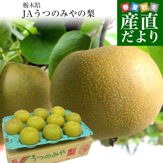 在庫限り 栃木県より産地直送 JAうつのみやの梨 大玉限定 4Lサイズ以上