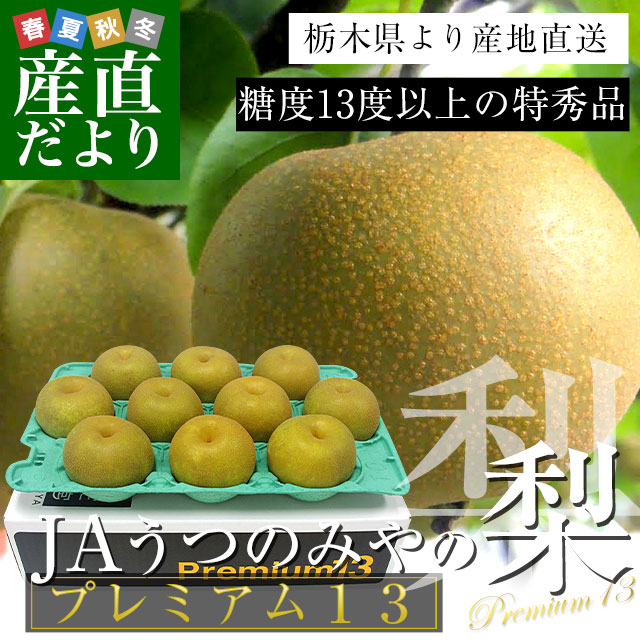 栃木県より産地直送 JAうつのみやの梨 糖度13度以上の特秀 プレミアム