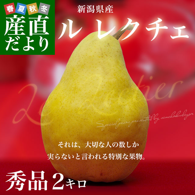 モンチッチ ご当地 新潟限定 ル レクチエ 洋ナシ 洋梨 新潟限定モンチッチ （モンチッチ ご当地 新潟限定 ル レクチエ
