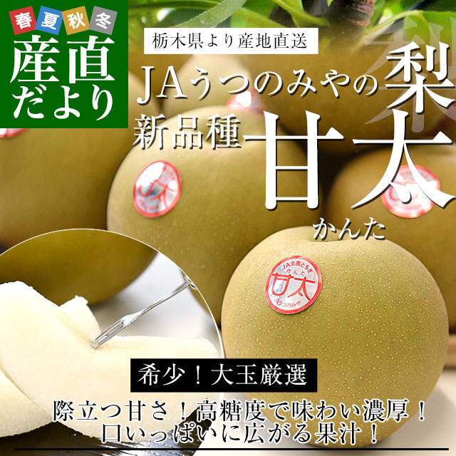 栃木県より産地直送 JAうつのみやの梨 甘太（かんた） 大玉限定 秀品