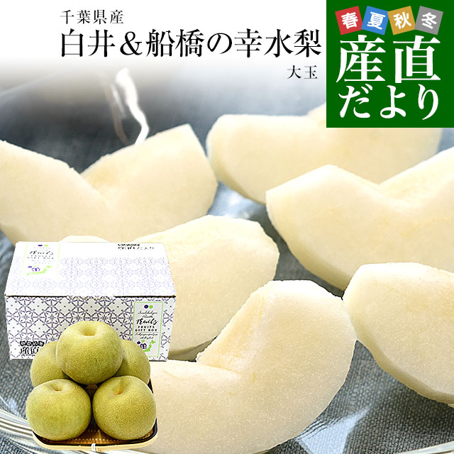 28【和歌山県産】ポンカン　約9kg サイズお任せ(2L〜3L) 楽天市場】高糖度ポンカン 2L/3Lサイズ 3kg 和歌山産 送料無料
