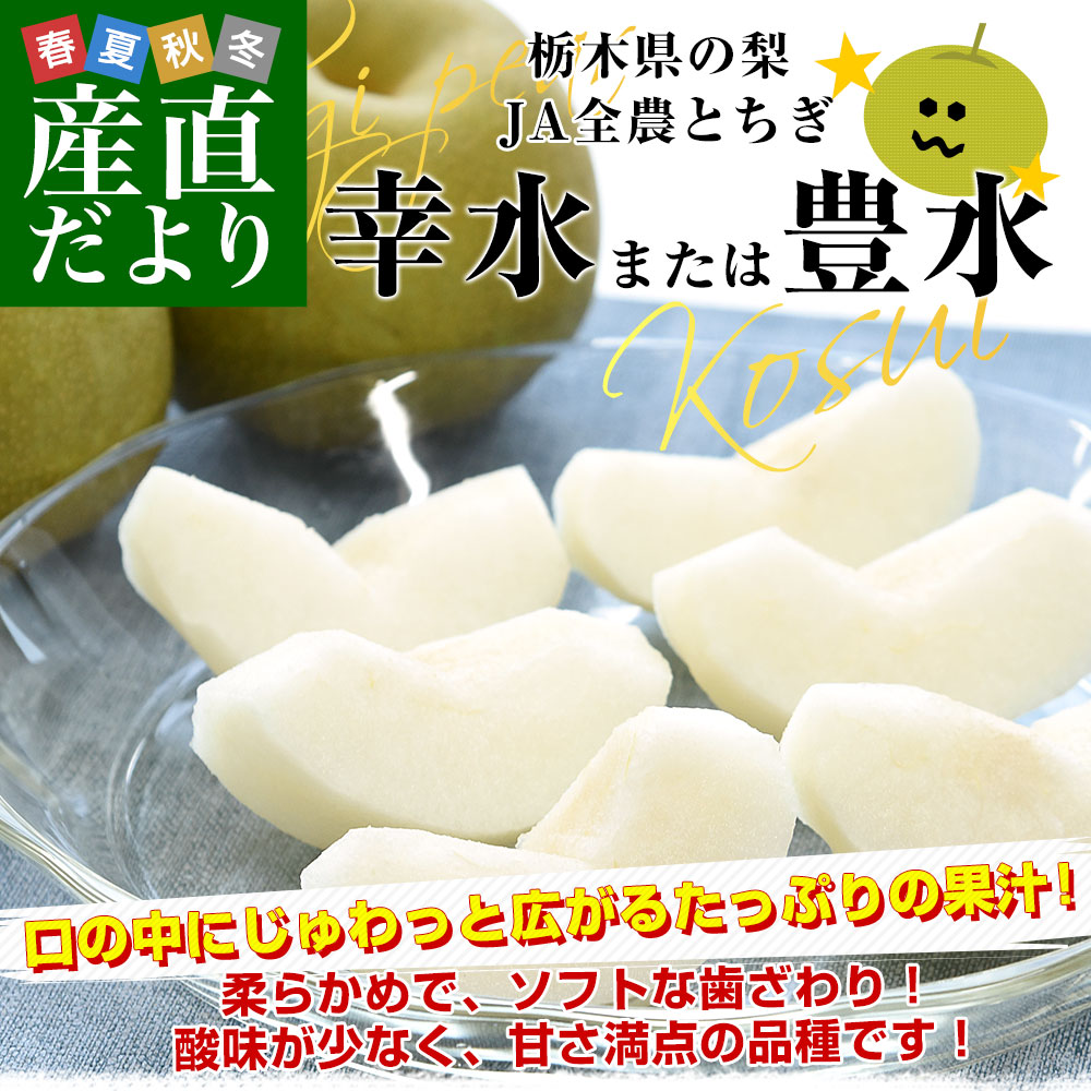 栃木県 JA全農とちぎ 幸水梨 秀品 約1.8...の詳細画像1