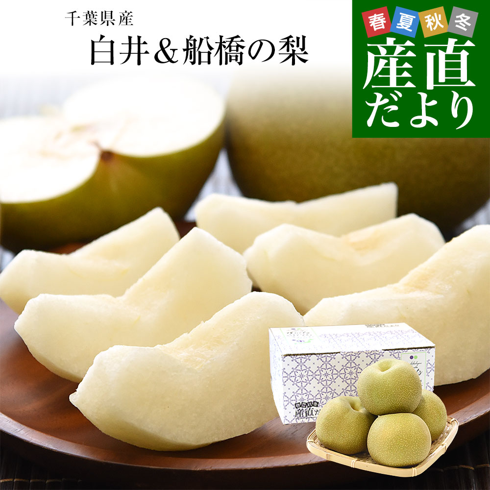 千葉県産 白井 船橋の梨 豊水またはあきづき 秀品 特大サイズ 約2キロ 3玉から4玉入り 送料無料 梨 なし ナシ こうすい ほうすい 産直だより - 通販 - Yahoo ショッピング