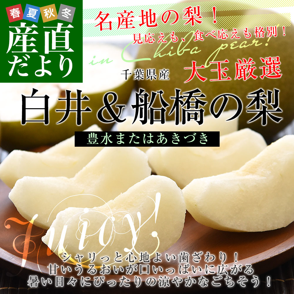 千葉県産 白井&船橋の梨(豊水またはあきづき)...の詳細画像1