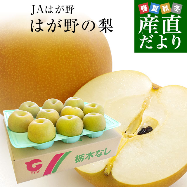 栃木県より産地直送 JAはが野の梨 優品以上 約5キロ (8玉から16玉) なし ナシ 送料無料