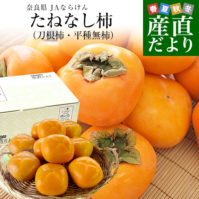 ޗǌ JAȂ炯 ˂Ȃ`i`E햳`jDiȏ LTCY 2.5L(11ʂ12)  ` 