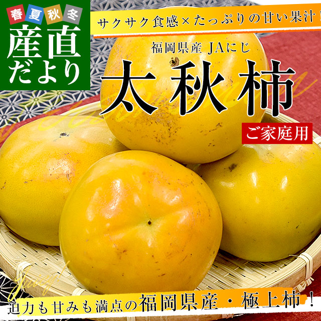 福岡県産 JAにじ 太秋柿 ご家庭用 Lから2Lサイズ 約3.5キロ（12玉から
