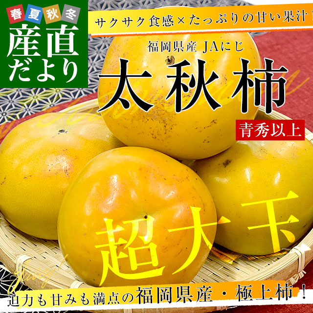 福岡県産 JAにじ 太秋柿 青秀以上 超大玉4Lから5Lサイズ 約3.5キロ（8