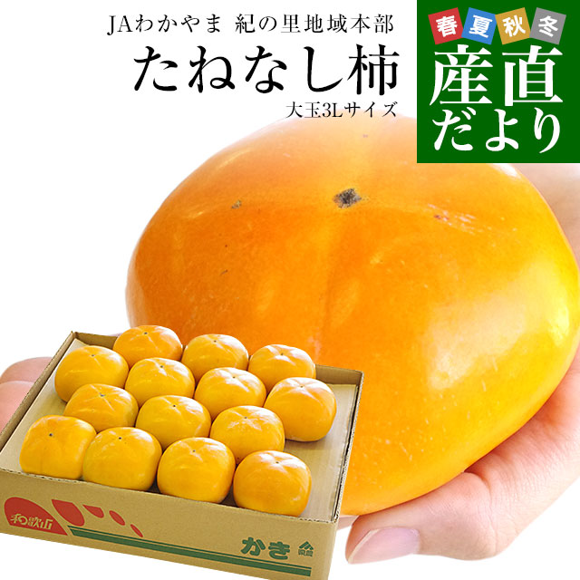 和歌山県より産地直送 JAわかやま 紀の里地域本部 たねなし柿 大玉3L