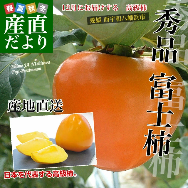 愛媛県より産地直送 JAにしうわ 富士柿 秀品 2キロ(5玉から6玉