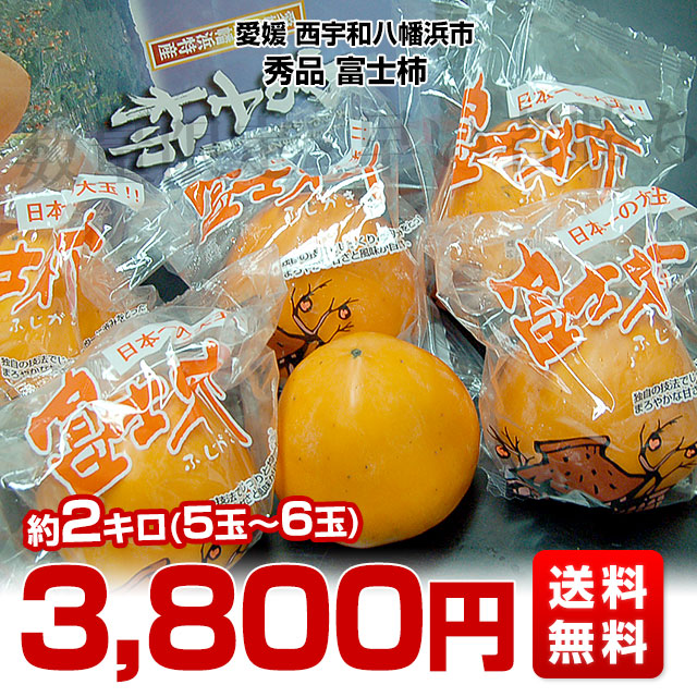 愛媛県より産地直送 JAにしうわ 富士柿 秀品 約2キロ(5玉から6玉) 送料無料 柿 かき ふじがき :125099569:産直だより - 通販 -  Yahoo!ショッピング