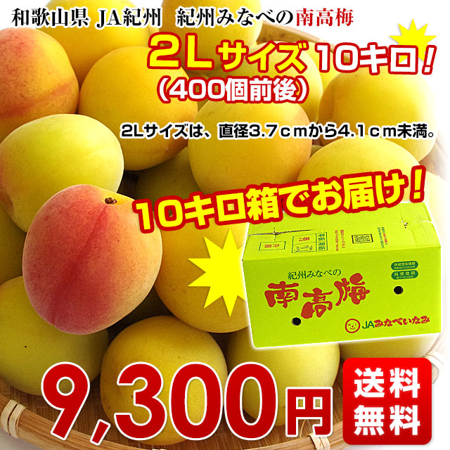 和歌山県産 JA紀州 みなべの南高梅 2Lサイズ 10キロ 梅 梅干 梅干し