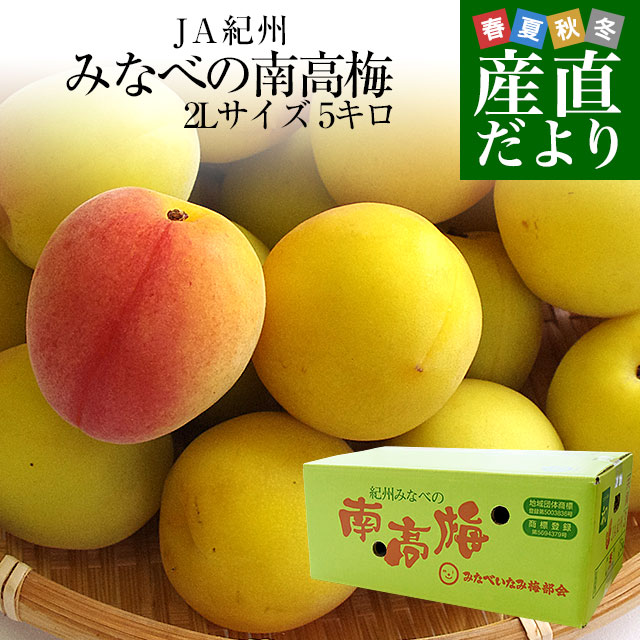 和歌山県産　JA紀州　みなべの南高梅 　2Lサイズ　5キロ 梅 梅干 梅干し 梅酒 梅サワー 梅ジャム うめ　ウメ