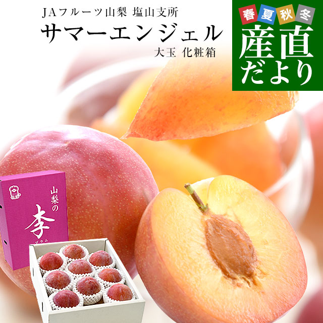 信州産 プラム すもも 20kg 【リク】サマーエンジェル クール 信州産 プラム すもも 20kg 【リク】サマーエンジェル クール