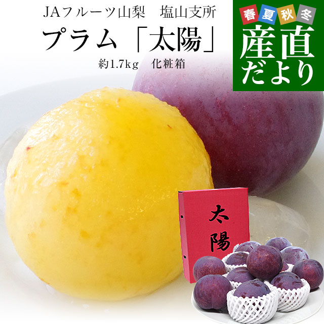 新鮮 プラム 紫と緑 多数 3キロ taiyou.jpg