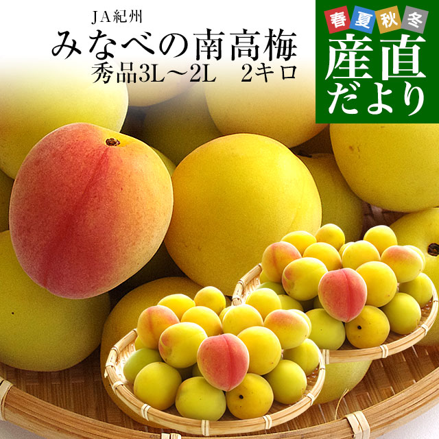 和歌山県産 JA紀州 みなべの南高梅 3Lサイズから2Lサイズ 秀品