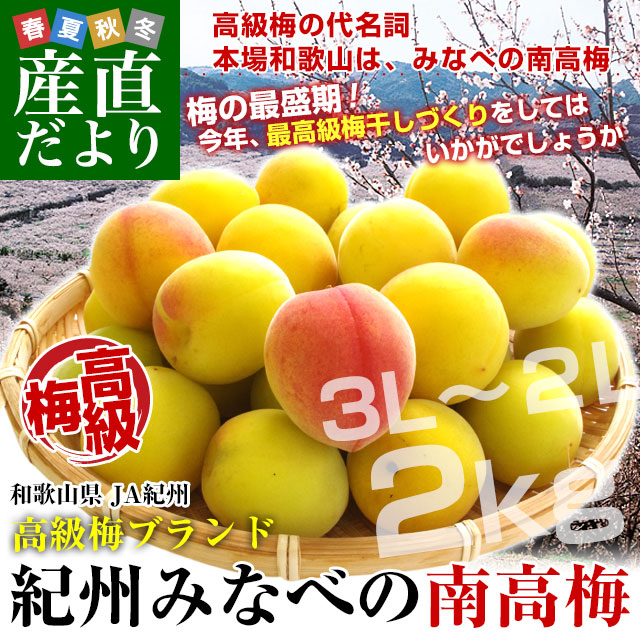 和歌山県産 JA紀州 みなべの南高梅 3Lサイズから2Lサイズ 秀品