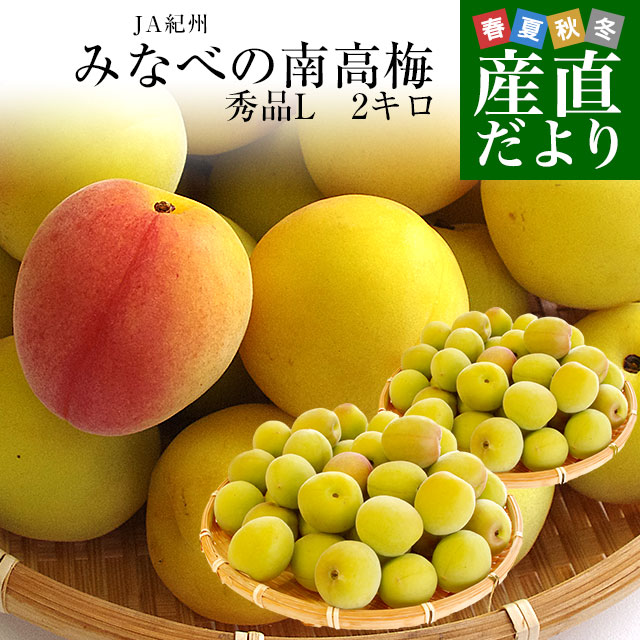 和歌山県みなべ産南高梅完熟梅梅干し5kg Lサイズ1