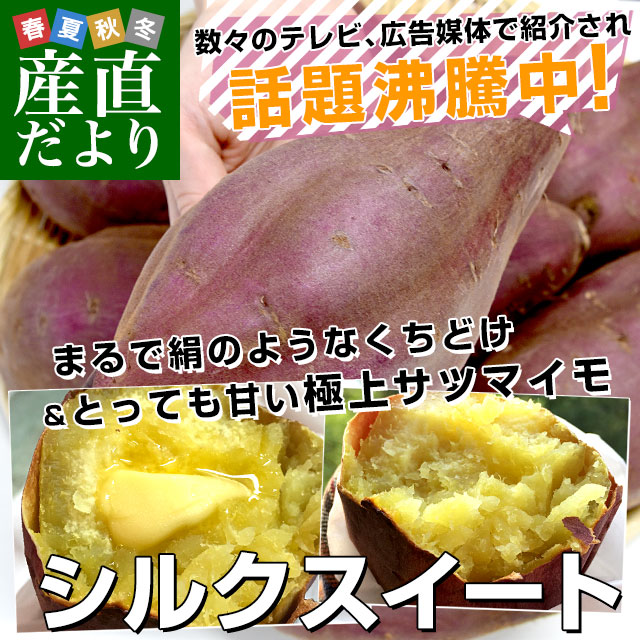 千葉県産　JAかとり　シルクスイート　2LからL　約5キロ（形不揃い） 9本前後　送料無料　さつまいも　サツマイモ　薩摩芋　新芋　市場発送