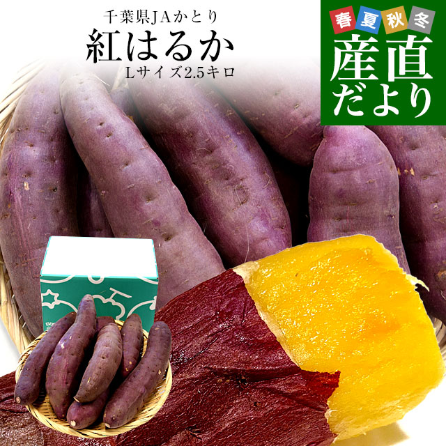 千葉県産 JAかとり 紅はるか Lサイズ 約2.5キロ 7本前後 送料無料 さつまいも サツマイモ 薩摩芋 新芋 市場発送｜sanchokudayori