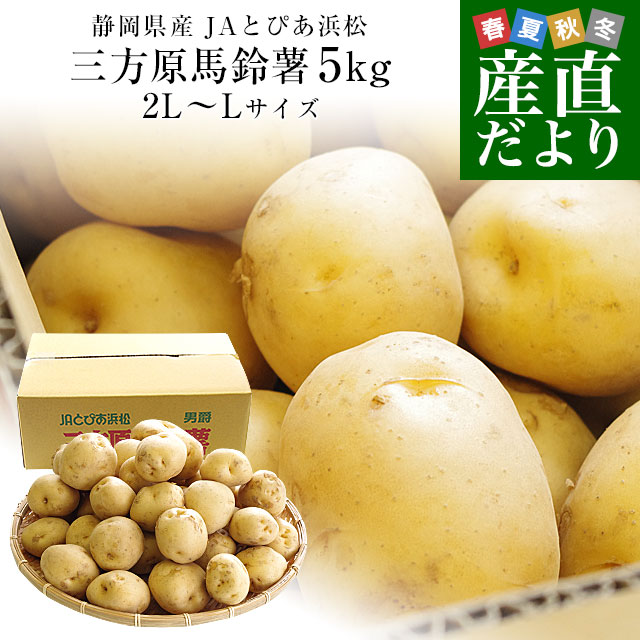 静岡県産 JAとぴあ浜松 三方原馬鈴薯（男爵） 2LからLサイズ 5キロ ばれいしょ じゃがいも ジャガイモ 送料無料