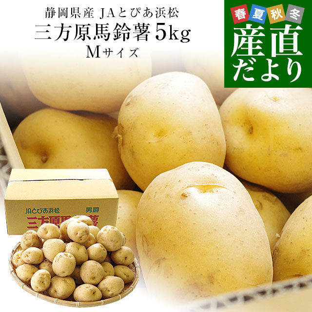 静岡県産 JAとぴあ浜松 三方原馬鈴薯（男爵） Ｍサイズ 5キロ ばれいしょ じゃがいも ジャガイモ 送料無料