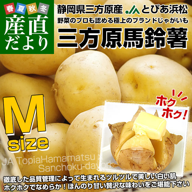 激安！　早い者勝ち　じゃがいも　41 静岡県産 JAとぴあ浜松 三方原馬鈴薯（男爵） Mサイズ 5キロ