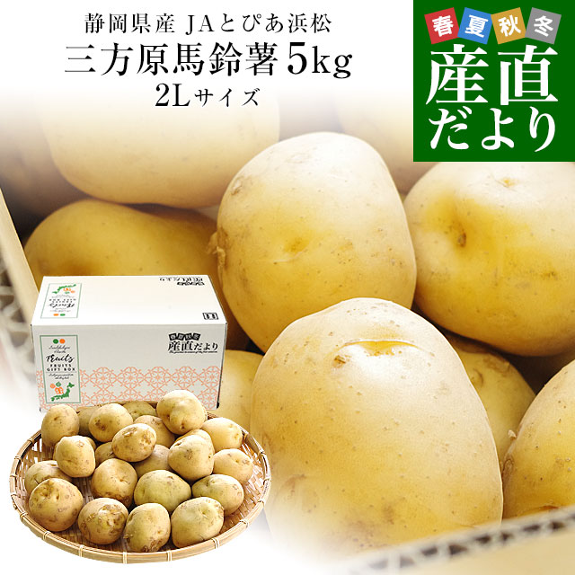静岡県産 JAとぴあ浜松 三方原馬鈴薯 2Lサイズ 約5キロ（25玉前後） 送料無料 じゃがいも ジャガイモ｜産直だより