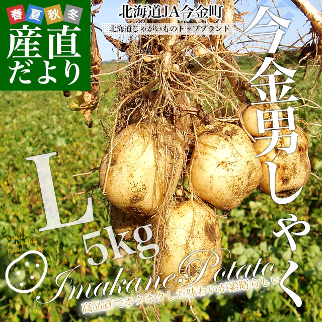 じゃがいも 5kgのおすすめ人気商品一覧 通販 - Yahoo!ショッピング