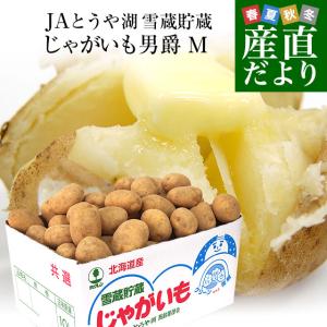 北海道より産地直送 JAとうや湖 雪蔵貯蔵じゃがいも (男爵) Mサイズ 10キロ  送料無料 芋 ジャガイモ 馬鈴薯