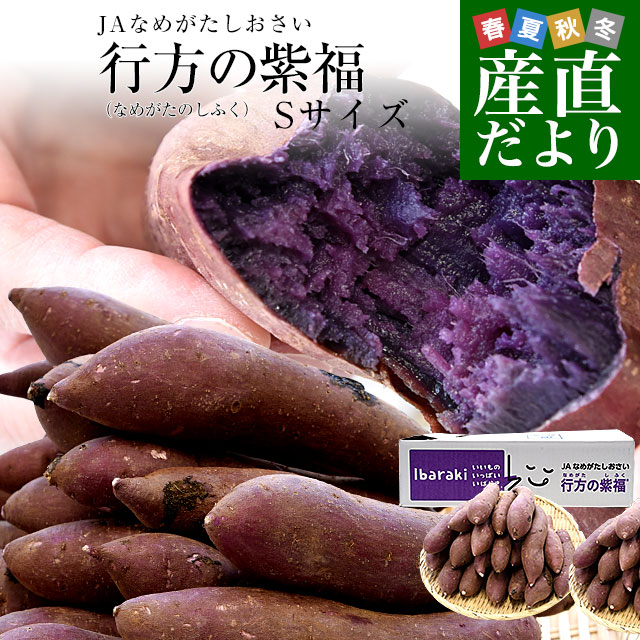 茨城県より産地直送 JAなめがたしおさい 行方の紫福（なめがたのしふく
