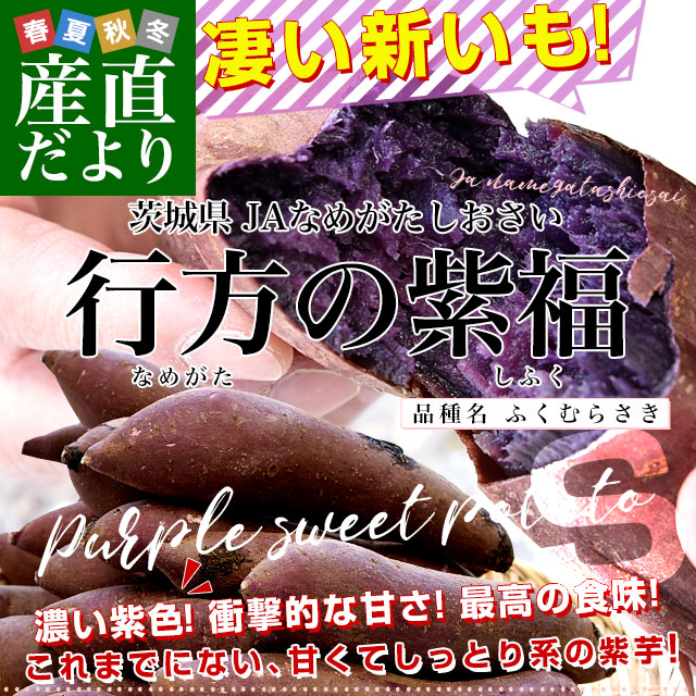 茨城県より産地直送 JAなめがたしおさい 行方の紫福（なめがたのしふく