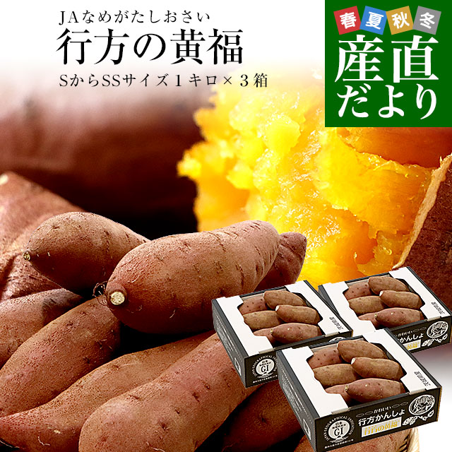 茨城県より産地直送 JAなめがたしおさい さつまいも 行方の黄福（なめがたのこうふく） 品種名:栗かぐや SからSSサイズ 約1キロ（5本から10本）3箱セット｜産直だより