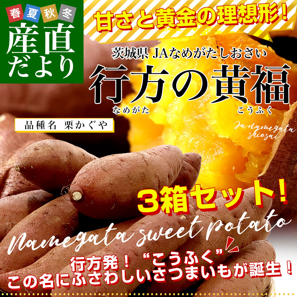 栗かぐやの商品一覧 通販 - Yahoo!ショッピング