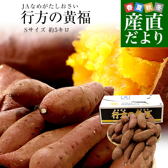 茨城県より産地直送 JAなめがたしおさい さつまいも 行方の黄福（なめがたのこうふく） 品種名:栗かぐや Sサイズ 約5キロ（25本から30本前後）｜産直だより