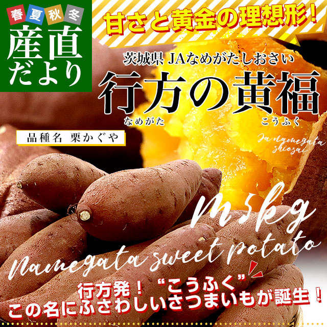 栗かぐや芋苗100本最終セール - メルカリ