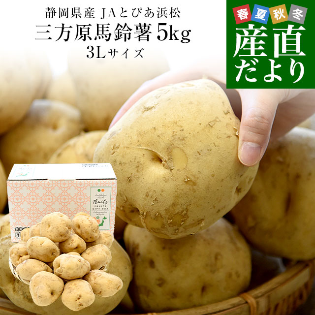 静岡県産 JAとぴあ浜松 三方原馬鈴薯 3Lサイズ 約5キロ（15玉前後） 送料無料 じゃがいも ジャガイモ｜産直だより