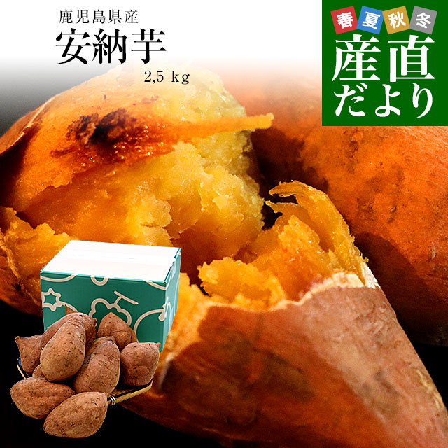 鹿児島県産 安納芋 LからSサイズ 2,5 kg 10本から15本前後 送料無料