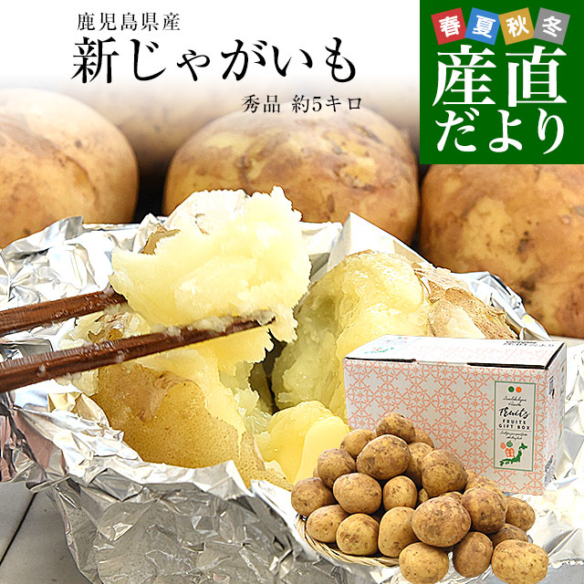 鹿児島県産 新じゃが芋 秀品 2LからLサイズ 約5キロ（20玉から35玉前後