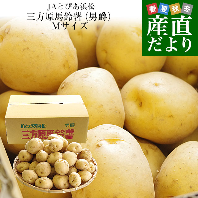静岡県産 JAとぴあ浜松 三方原馬鈴薯（男爵） Mサイズ 10キロ ばれいしょ じゃがいも ジャガイモ 送料無料｜産直だより