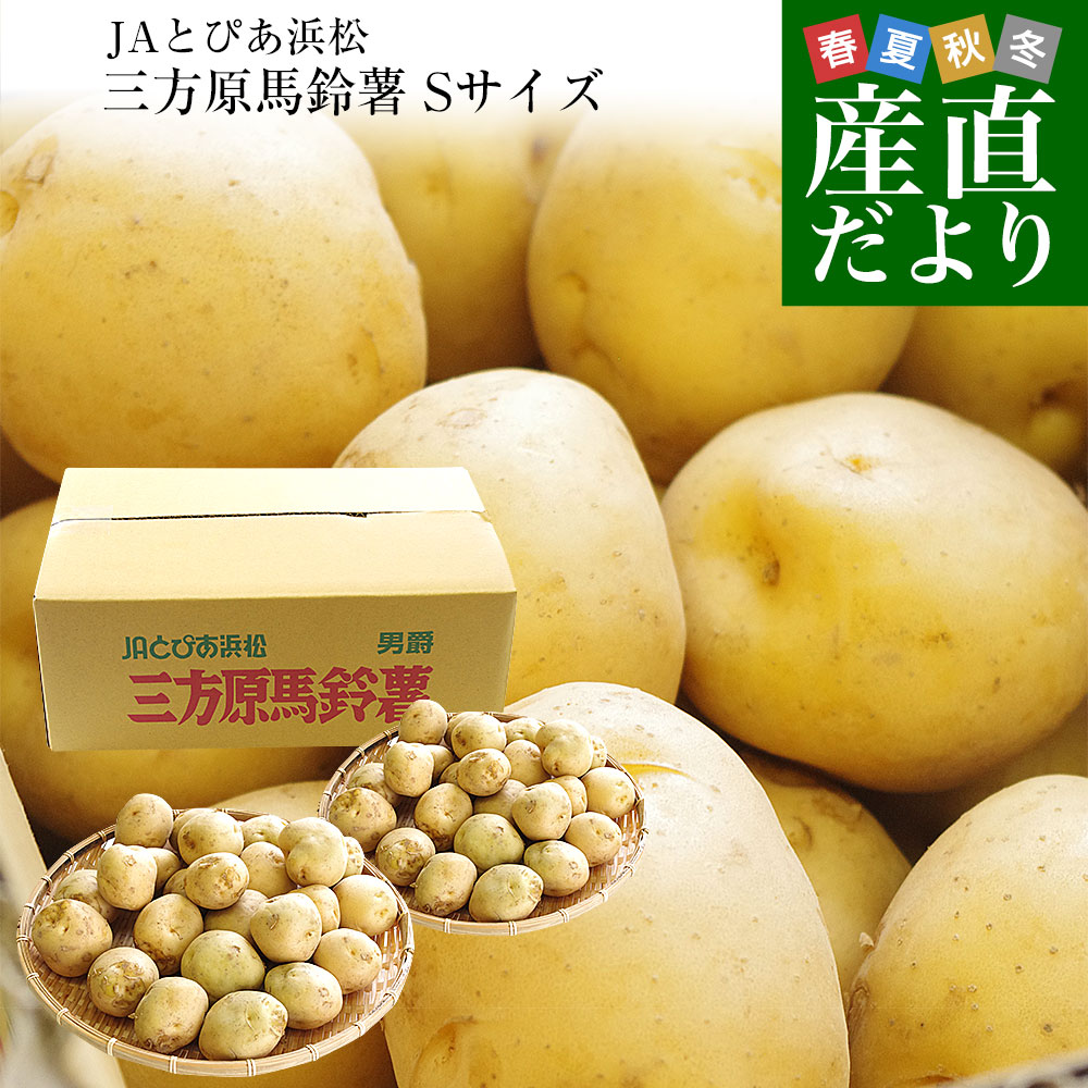 じゃがいも 10kg」の人気商品一覧・価格比較 - 価格.com