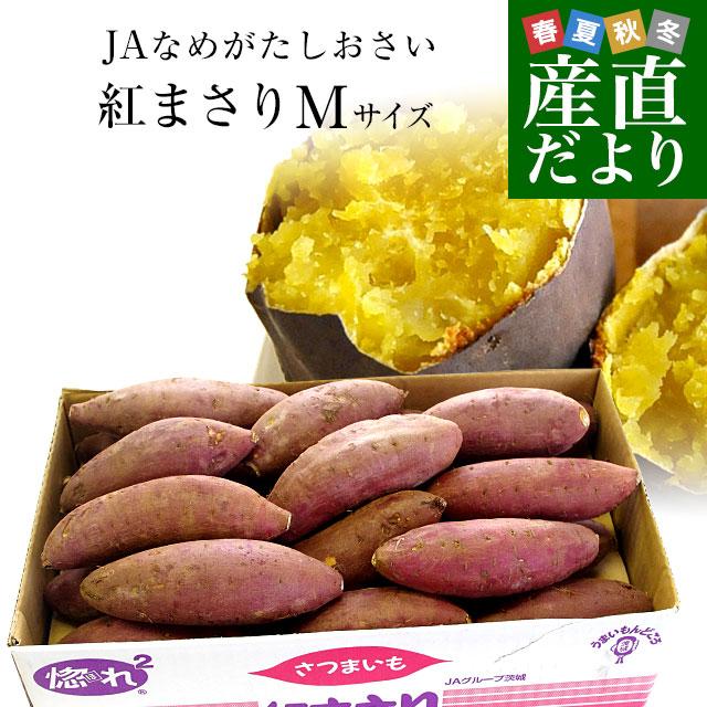 茨城県より産地直送 JAなめがた さつまいも「紅まさり(べにまさり)」 Mサイズ 約5キロ(18本前後） 送料無料 さつま芋 サツマイモ 薩摩芋｜sanchokudayori