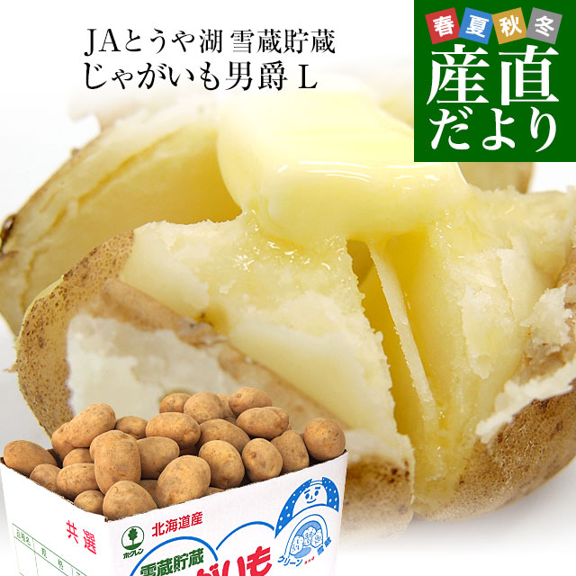 北海道より産地直送 JAとうや湖 雪蔵貯蔵じゃがいも (男爵) Lサイズ 10キロ  送料無料 芋 ジャガイモ 馬鈴薯