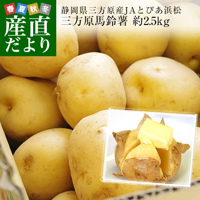 静岡県産 JAとぴあ浜松 三方原馬鈴薯（男爵）Mサイズ 約2.5キロ(20玉前後)送料無料 ばれいしょ じゃがいも ジャガイモ｜産直だより