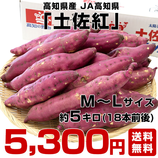 高知県産 JA高知県 土佐紅 A級品MからLサイズ5キロ 18本前後 送料無料